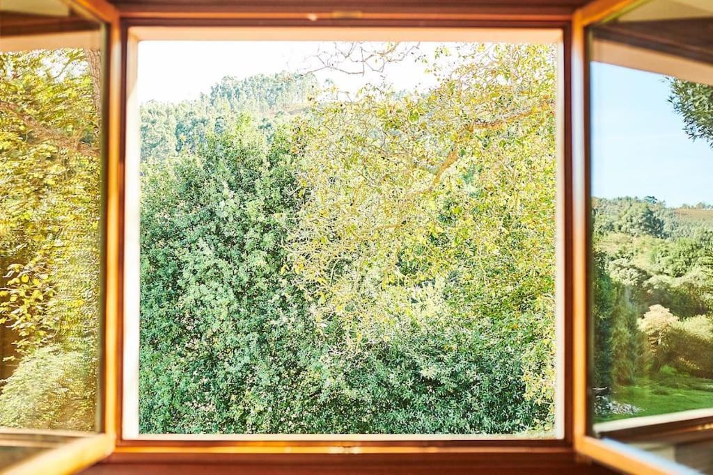 Casa Rural En Plena Naturaleza, Playa, Senderismo Villahormes ภายนอก รูปภาพ